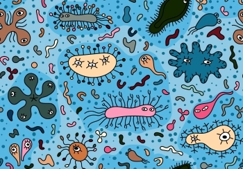 fermentatie gezond gefermenteerd voedsel