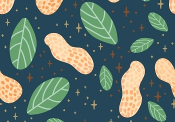 gezonde snacks voor in de avond