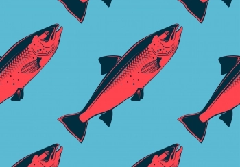 eiwitbehoefte berekenen