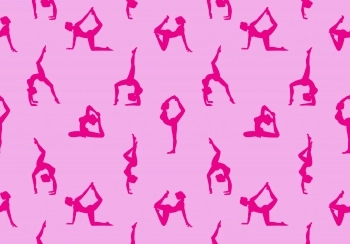 fit en slank